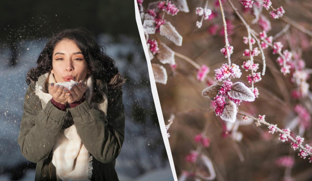 12 грудня в Україні настає велике свято: кого привітати і що не можна робити