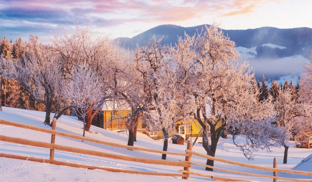 19 грудня: сьогодні церковне свято, кого просять про захист українських військових