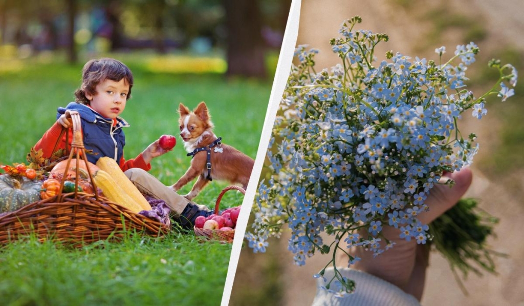 яке сьогодні свято