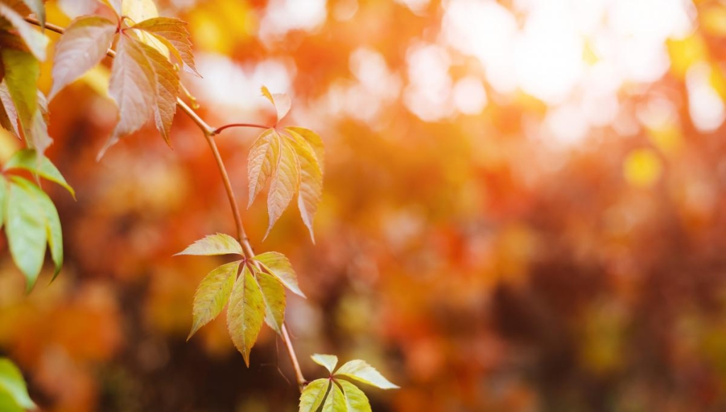 Прикмети на сьогодні