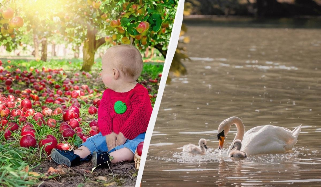 яке сьогодні свято