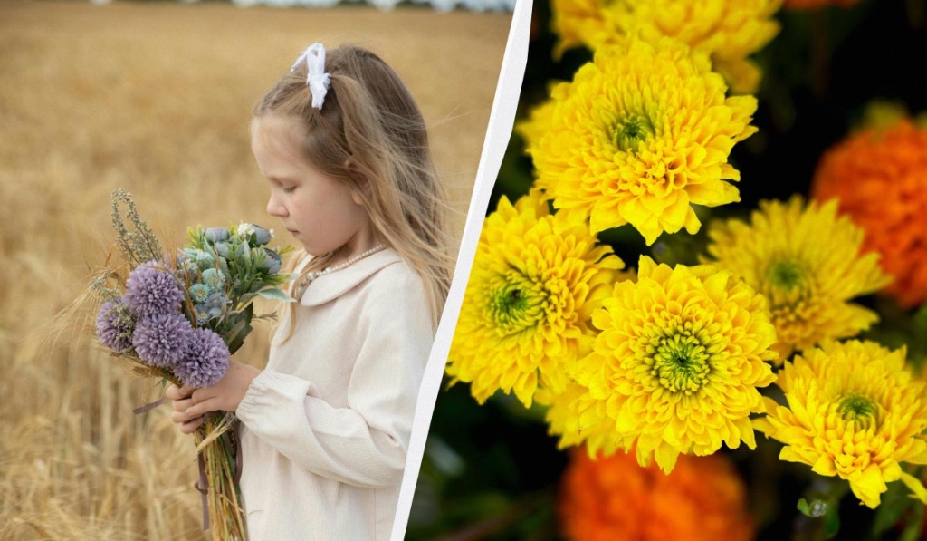 яке сьогодні свято