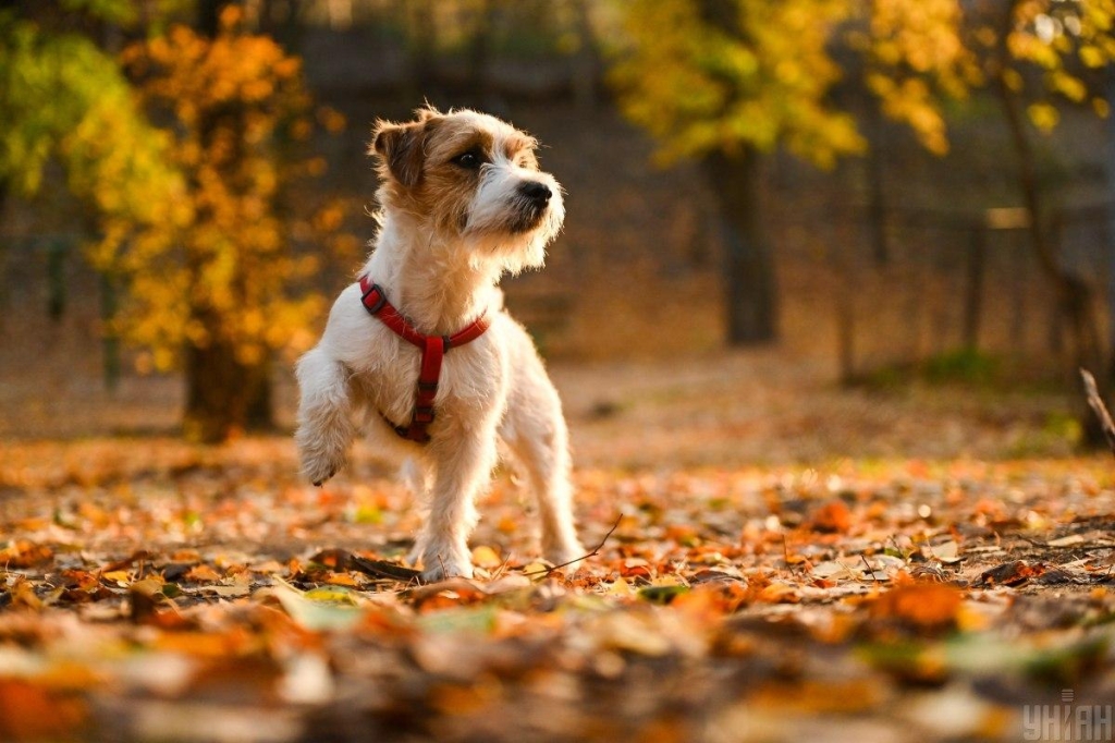 Прикмети на сьогодні