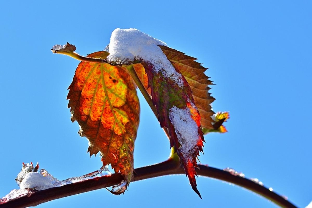 Прикмети на сьогодні