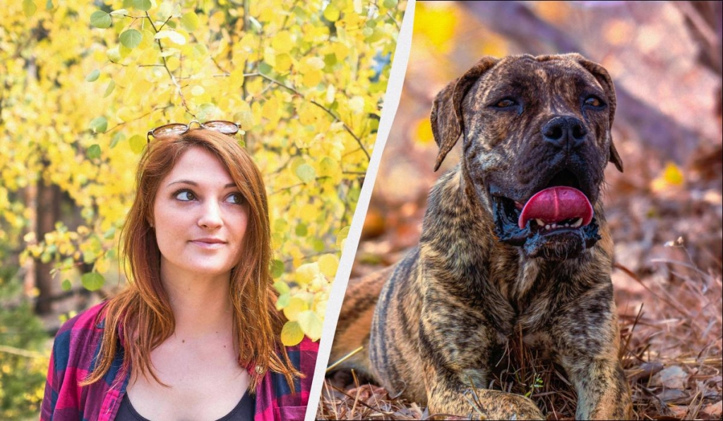 яке сьогодні свято