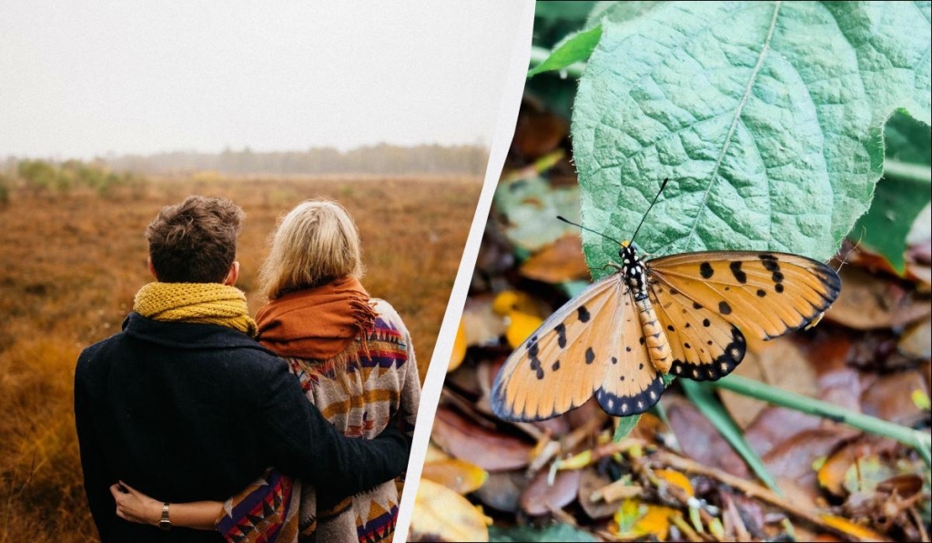яке сьогодні свято