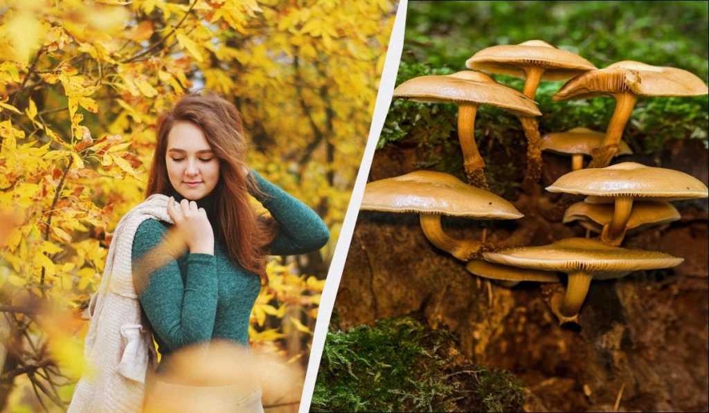 яке сьогодні свято