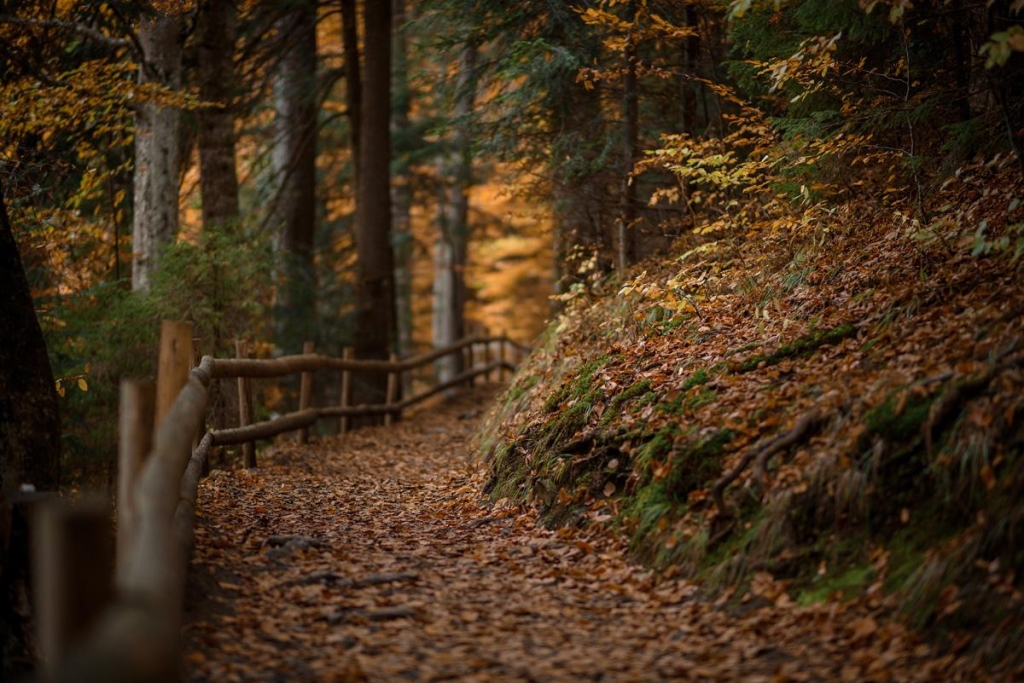 Що сьогодні за свято / фото 