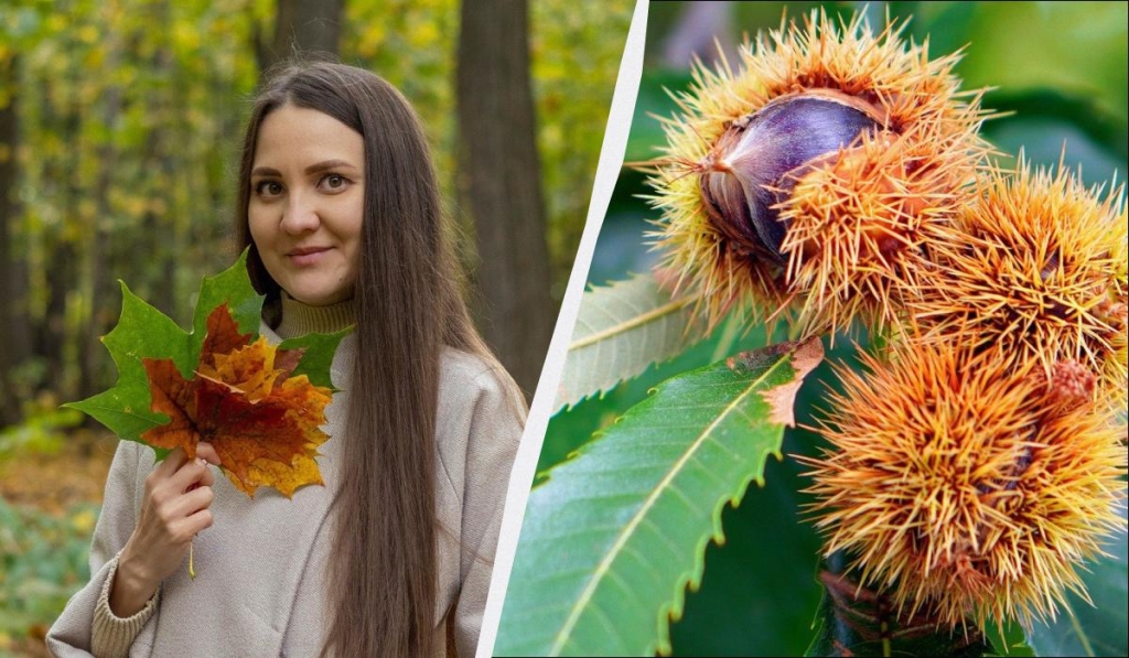 яке сьогодні свято