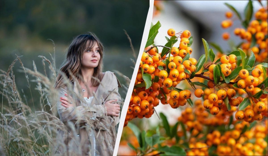 яке сьогодні свято