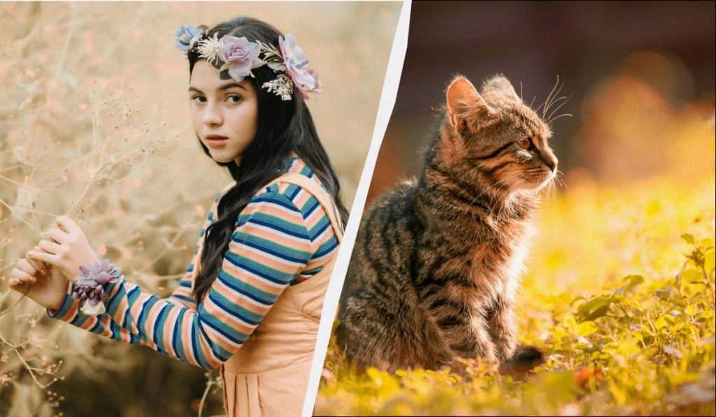 яке сьогодні свято