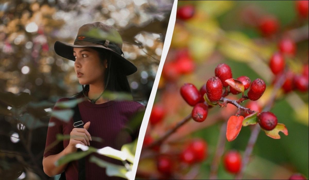 яке сьогодні свято