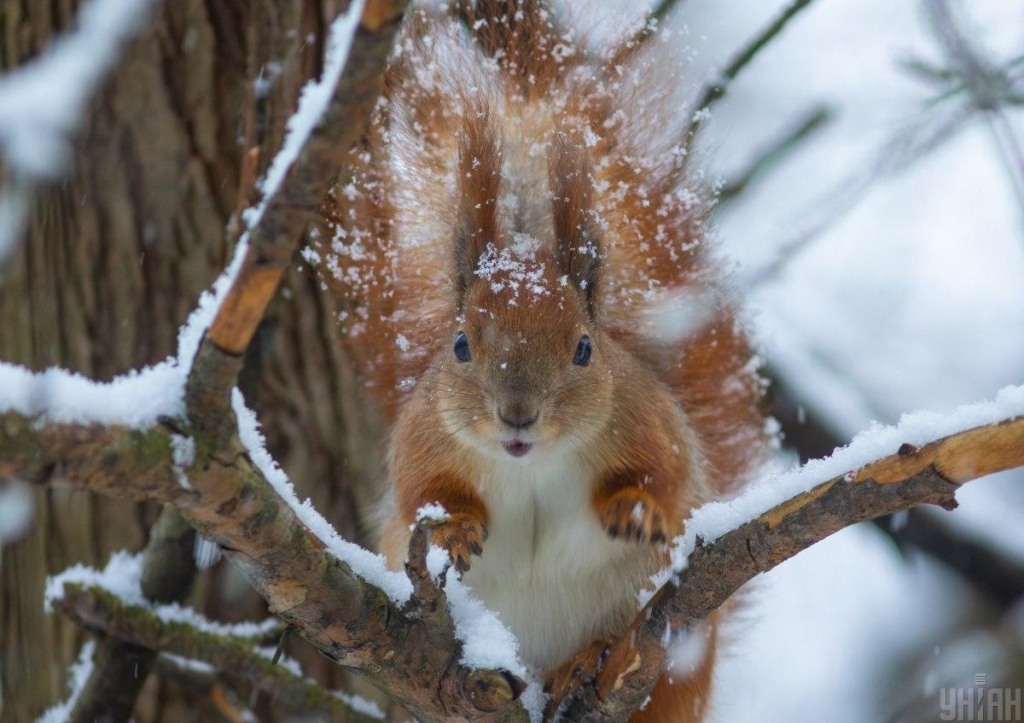 1 грудня: церковне свято сьогодні, що важливо почати в цей день, щоб усе вийшло