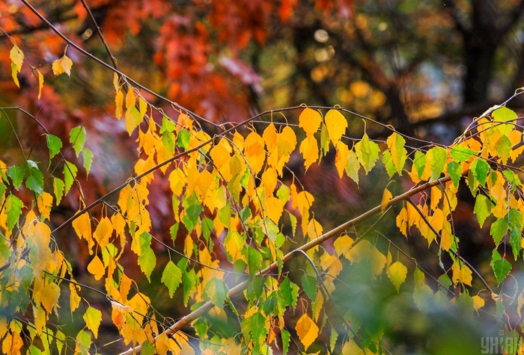 Прикмети на сьогодні