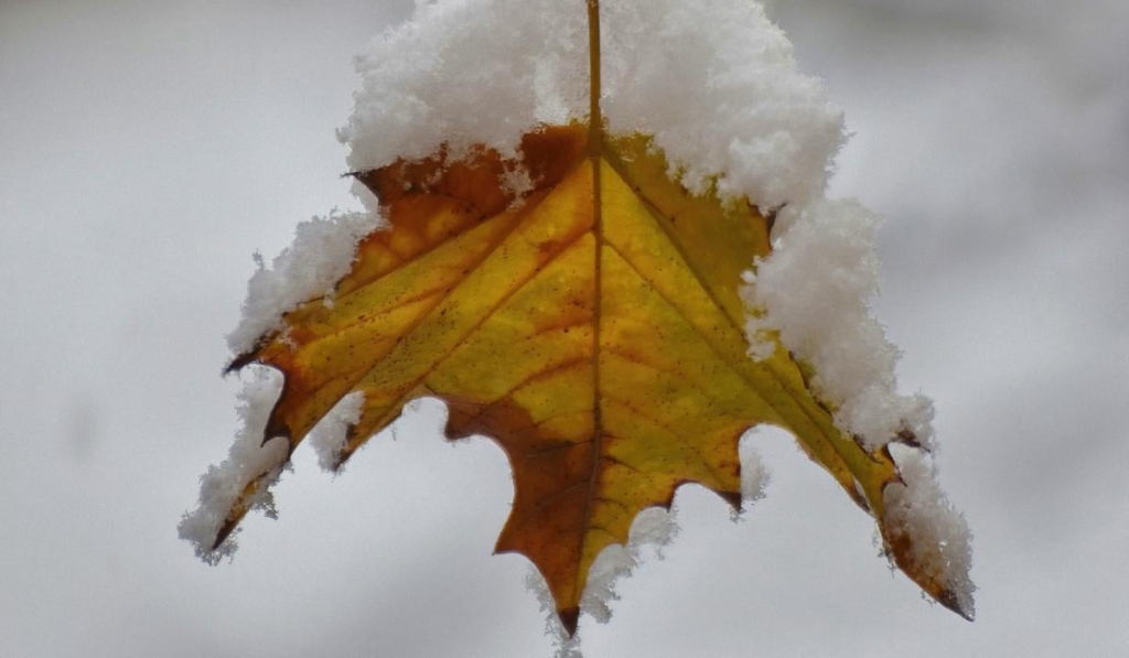 Прикмети на сьогодні