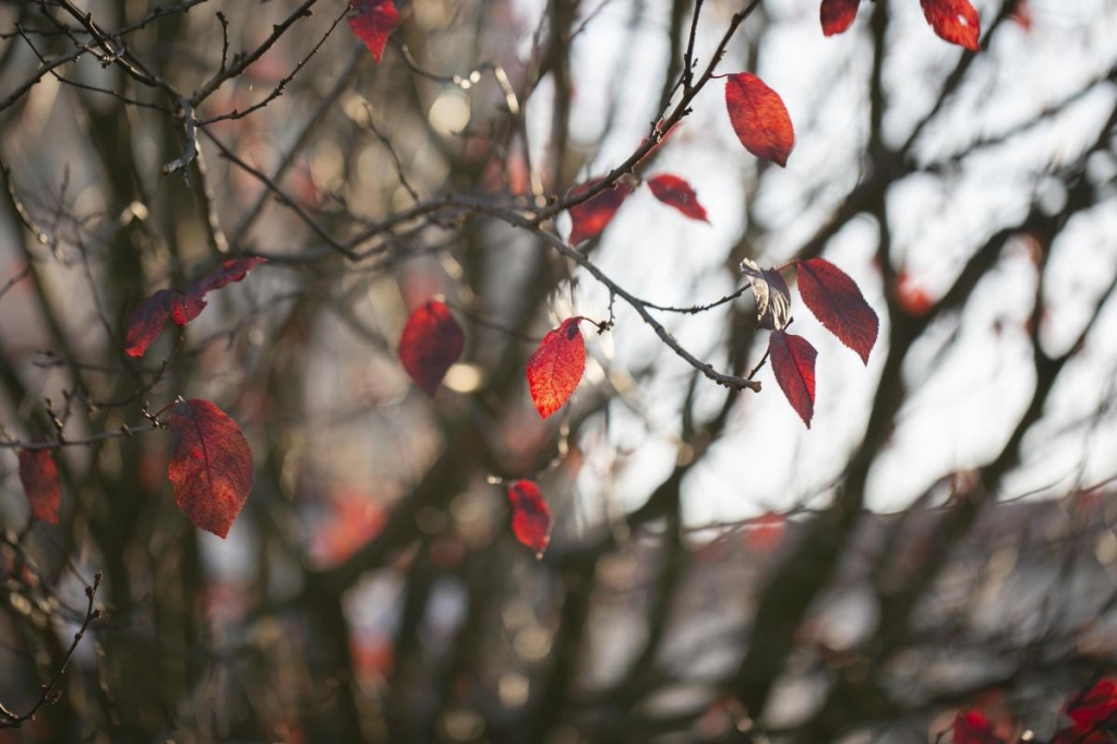 Прикмети на сьогодні 