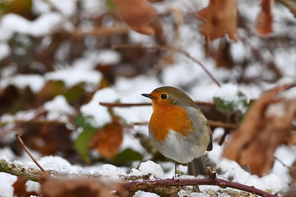 Прикмети на сьогодні 
