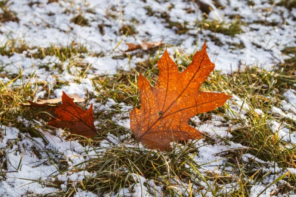 Прикмети 26 листопада