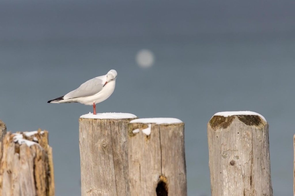 30 листопада: церковне свято сьогодні, три особливі заборони дня