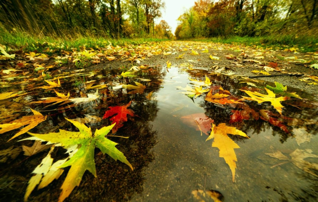 Прикмети на сьогодні