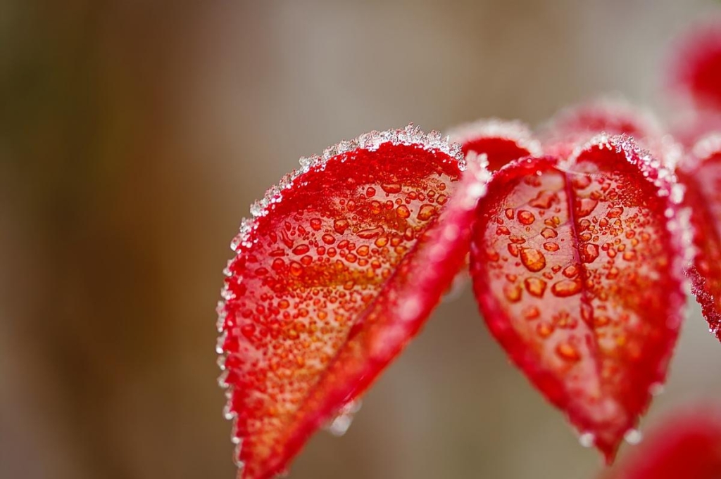 Прикмети на сьогодні