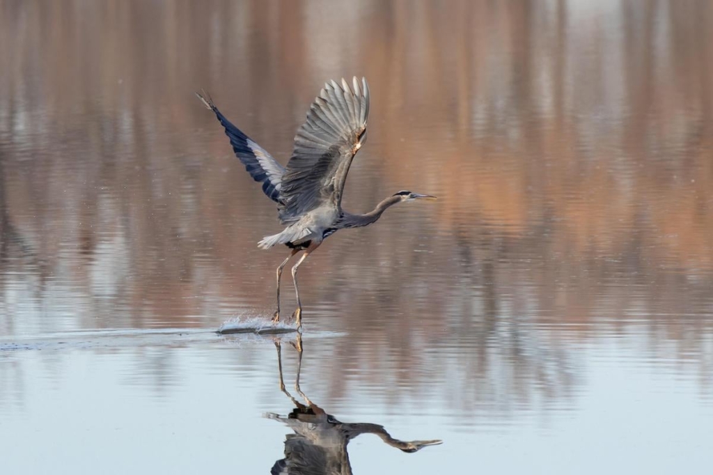 Прикмети на сьогодні 