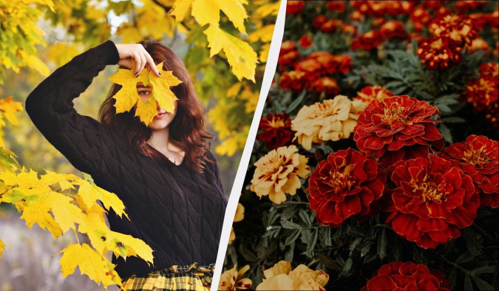 яке сьогодні свято