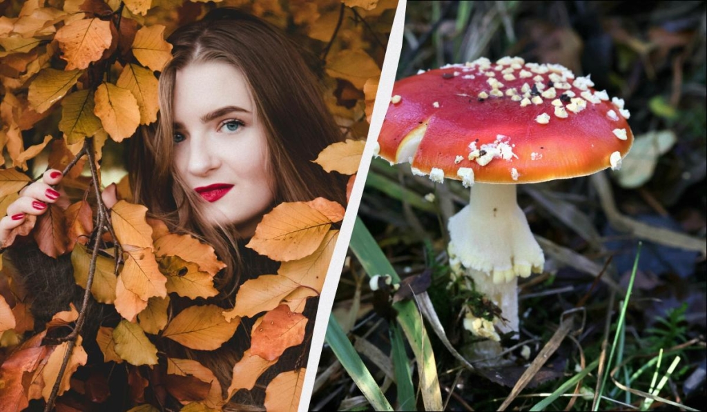 яке сьогодні свято