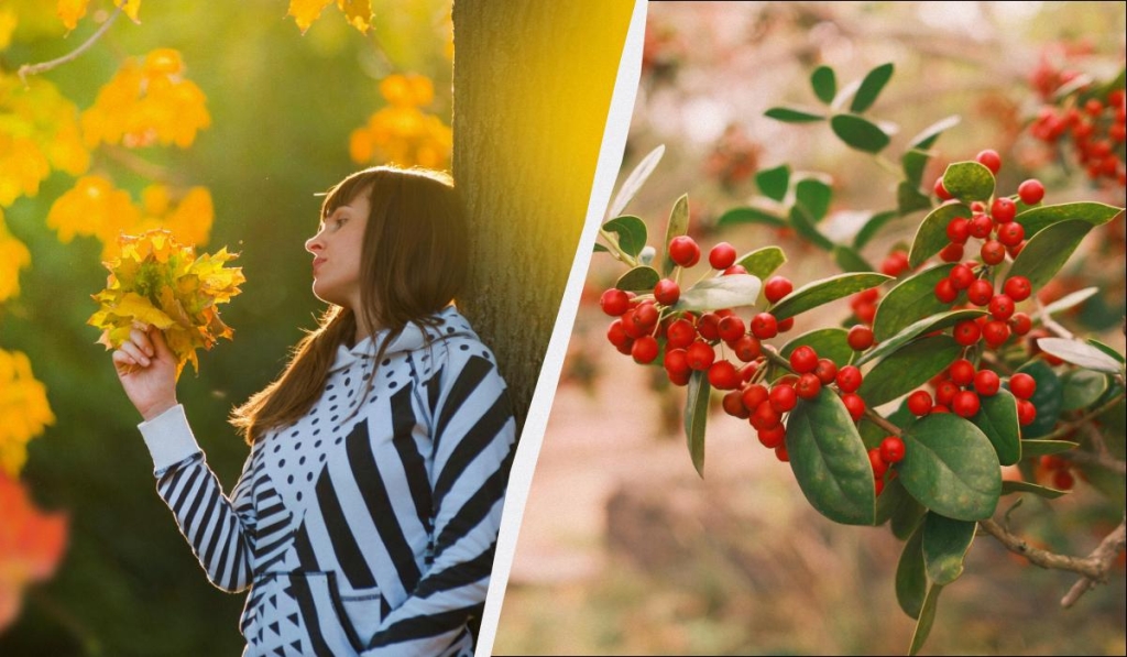 яке сьогодні свято