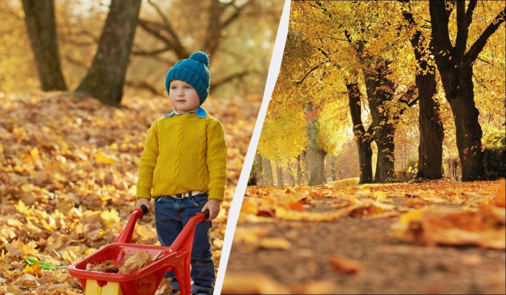 яке сьогодні свято