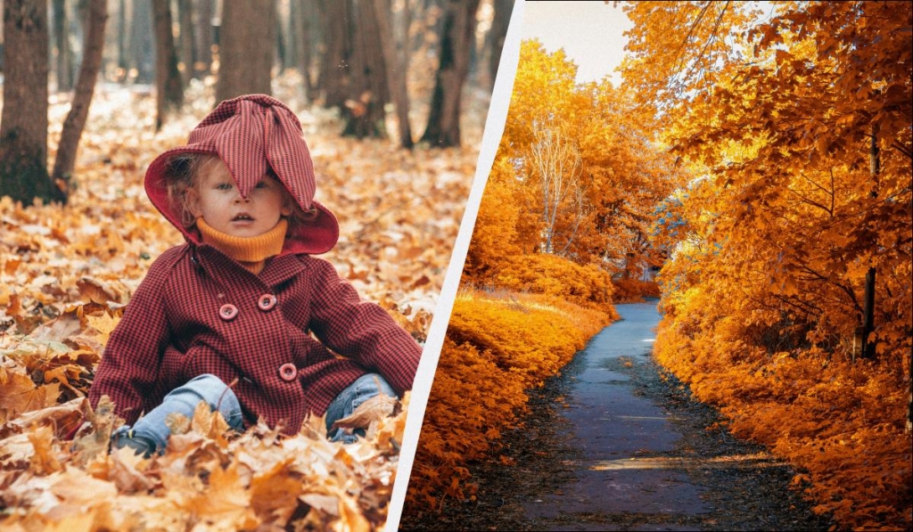 яке сьогодні свято