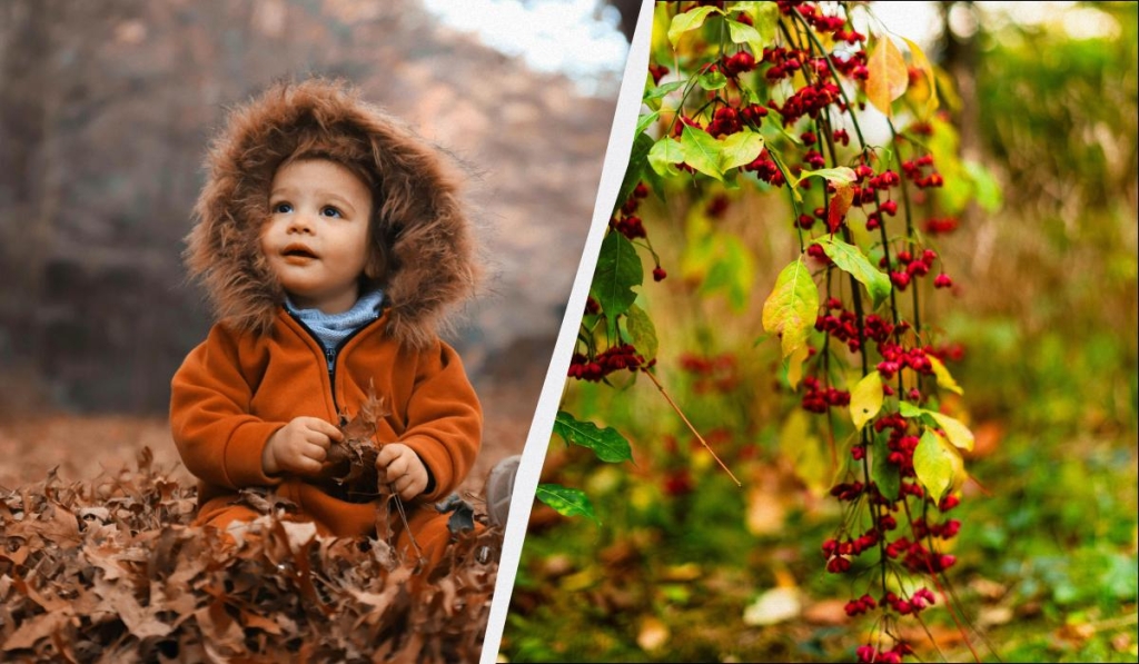 яке сьогодні свято