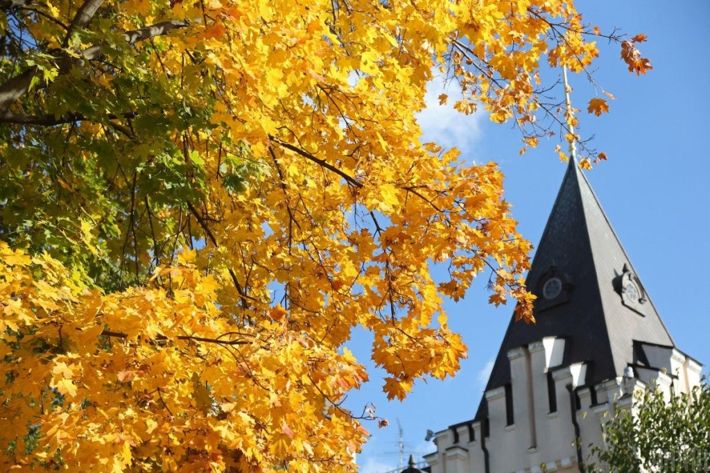 яке сьогодні свято