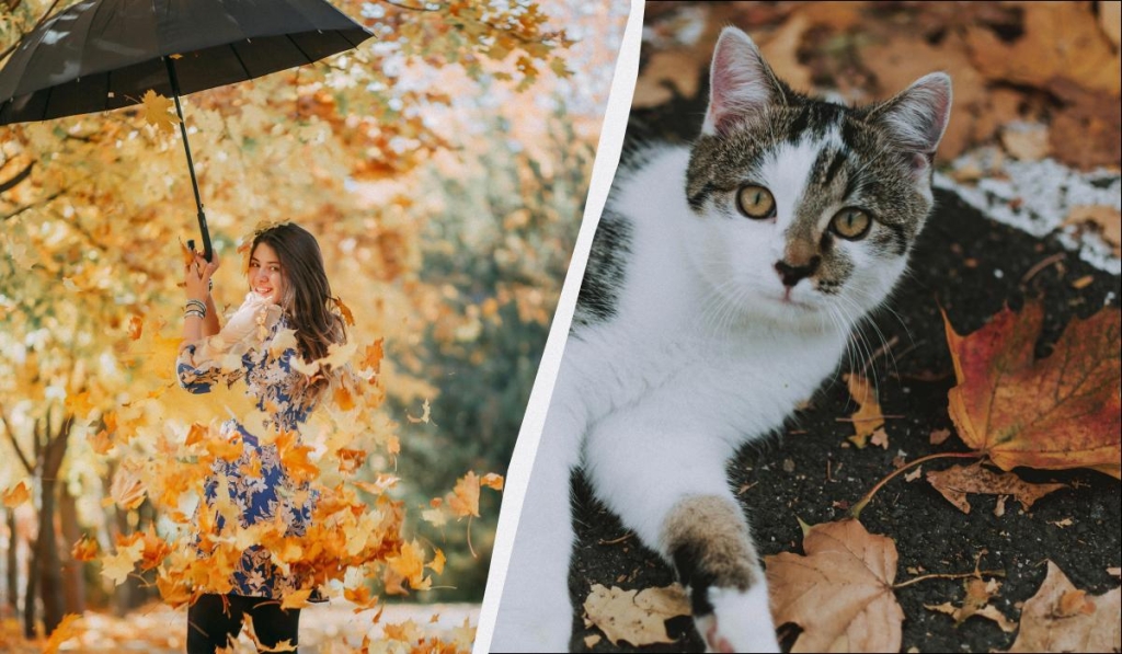 яке сьогодні свято