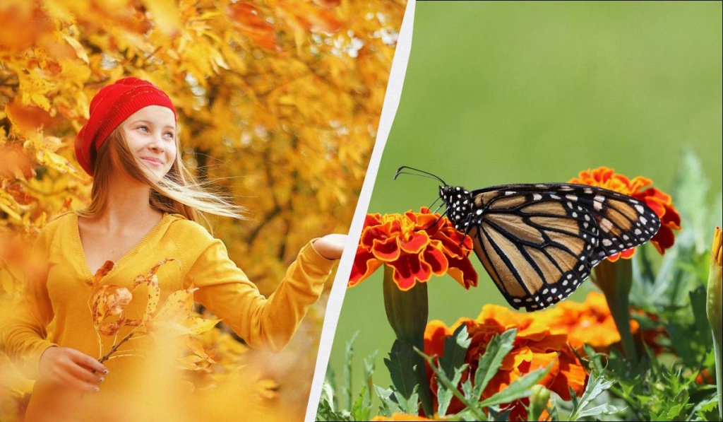 яке сьогодні свято
