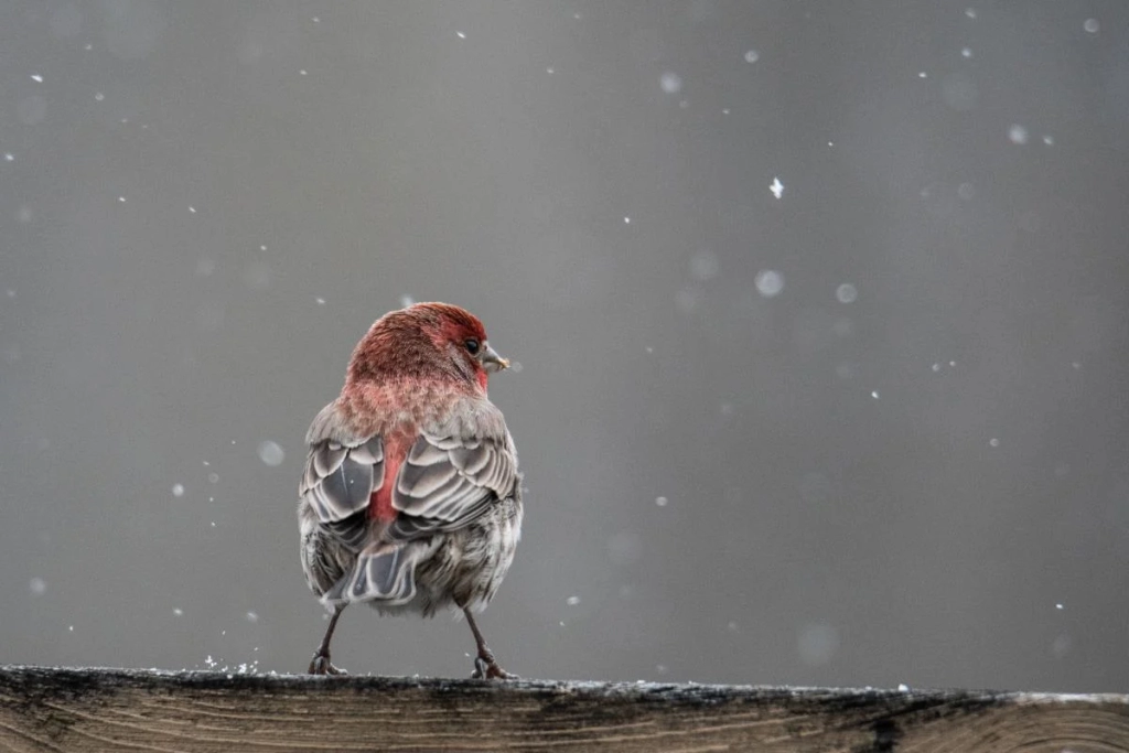 10 грудня: церковне свято сьогодні, що принесе в дім удачу і лад