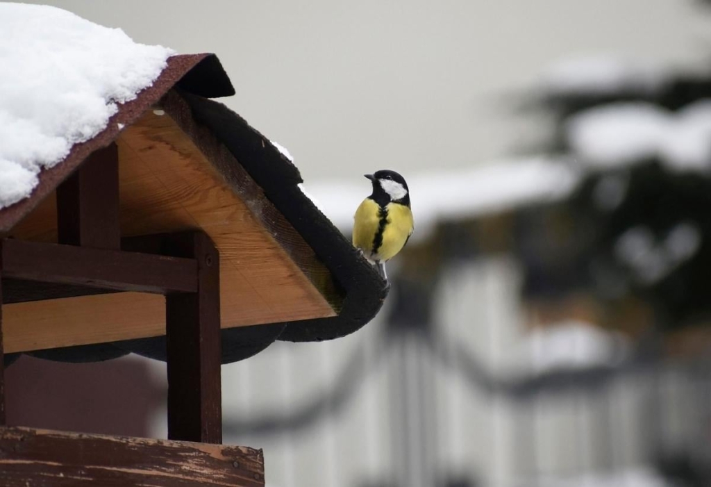 2 грудня: церковне свято сьогодні, як очистити дім цього дня