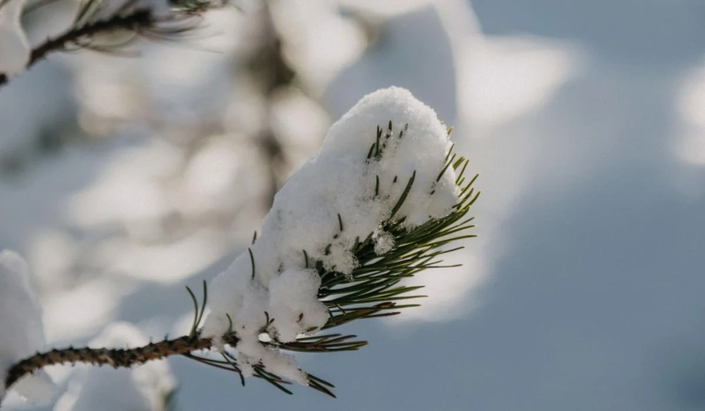 21 грудня: церковне свято сьогодні, що треба покласти в домі на видному місці