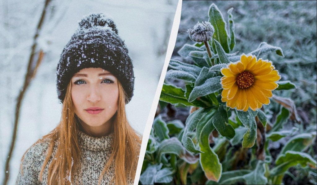 29 грудня - нещасливий день: що небезпечно робити у свято сьогодні