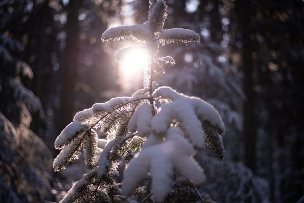 7 грудня: церковне свято сьогодні, що не можна робити, щоб не накликати біду