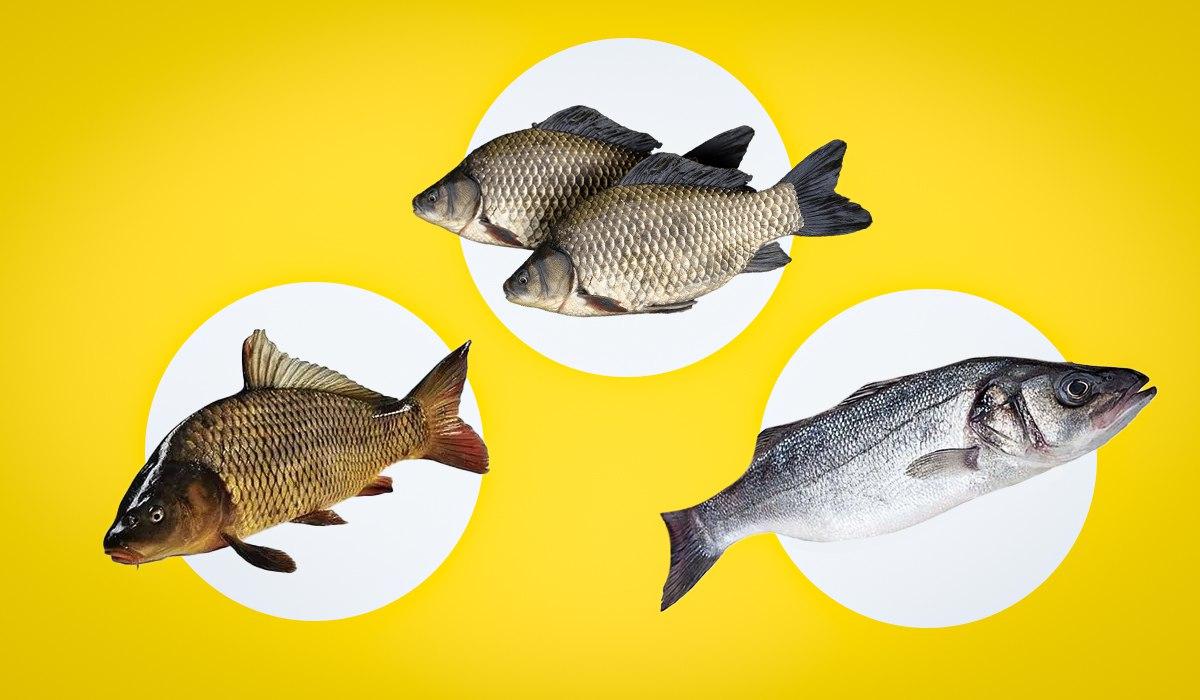 Як зрозуміти, що риба свіжа: лікар розповів, на що звертати увагу