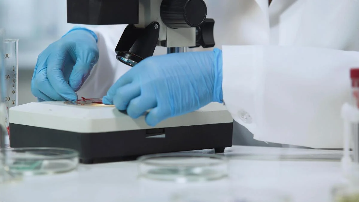 Лікарі б&rsquo;ють на сполох: смертоносний грибок стає заразнішим і поширюється світом