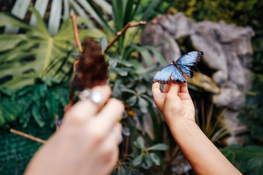 Найбільша ковзанка, Резиденція Санти та масштабні світлові інсталяції: де шукати дива на "Зимовій країні" на ВДНГ