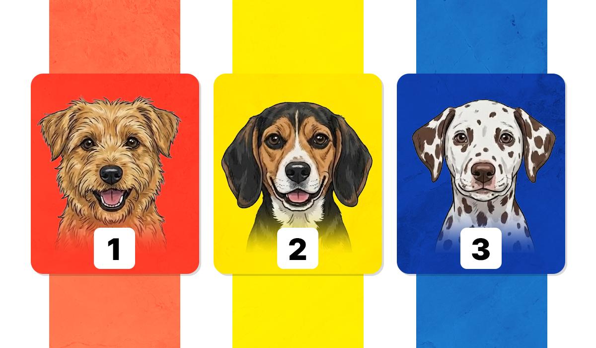 Наскільки ви розумієте свої емоції: психологічний тест із точністю 98%