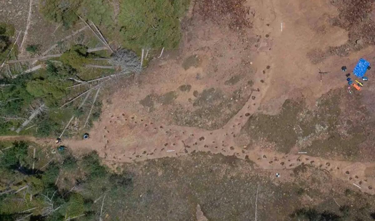 Понад 150 млн років тому кульгавий динозавр залишив "закручену" стежку: як це можливо