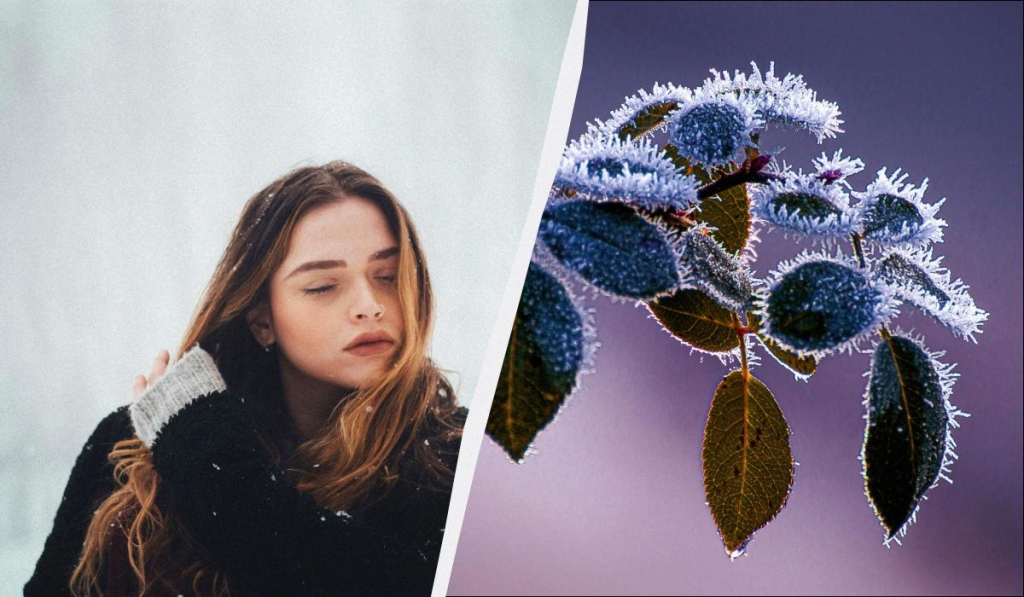 Що обов'язково потрібно приготувати 28 грудня 2025 року: звичаї у свято сьогодні