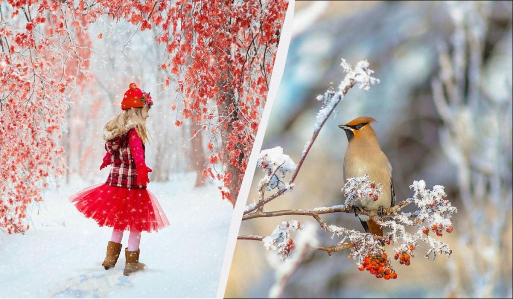 Що потрібно зробити в спальні: усі свята 8 грудня 2025 та звичаї на щастя