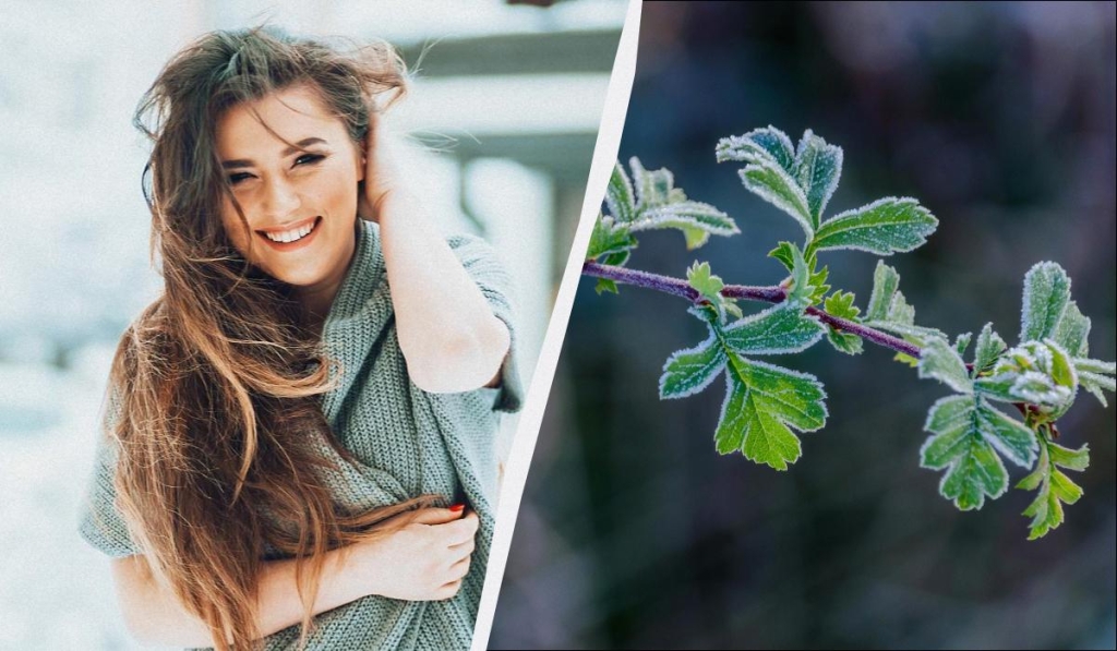 Що сьогодні потрібно принести в дім для щастя: звичаї на свято 2 грудня 2025