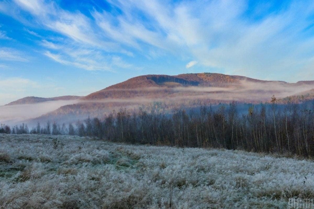 Що зробити 11 грудня для дитячого щастя: усі свята сьогодні в Україні та світі