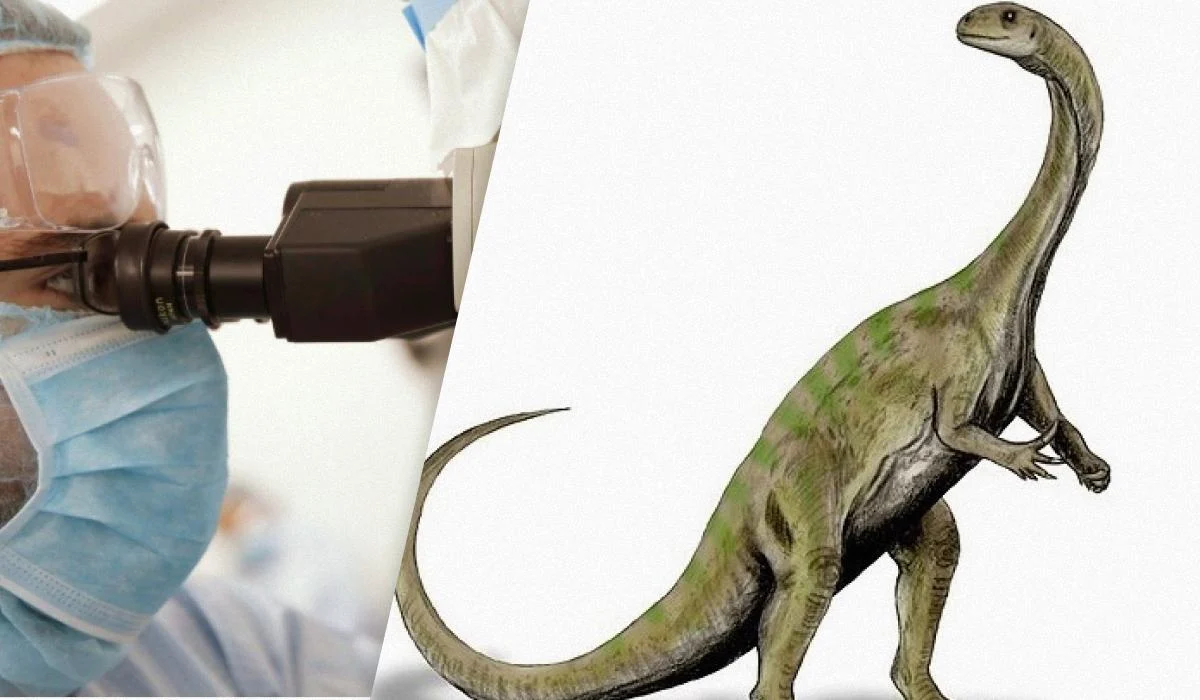 Ученим вдалося зазирнути всередину ембріонів динозаврів: що вони побачили (фото)